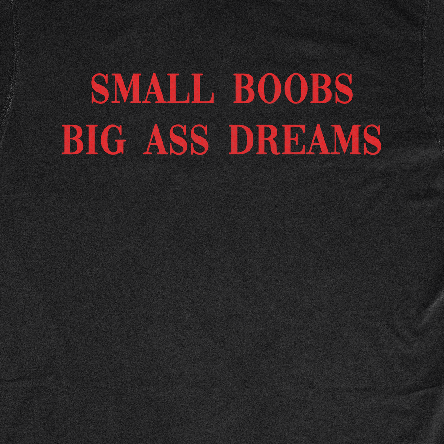 SMALL BOOBS BIG AS* DREAMS
