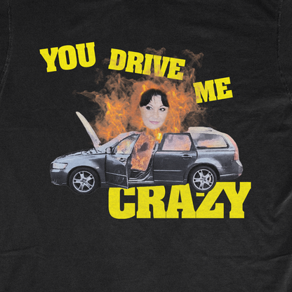 YOU DRIVE ME CRAZY