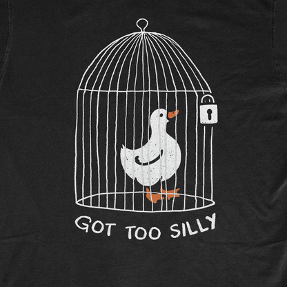 GOT TOO SILLY