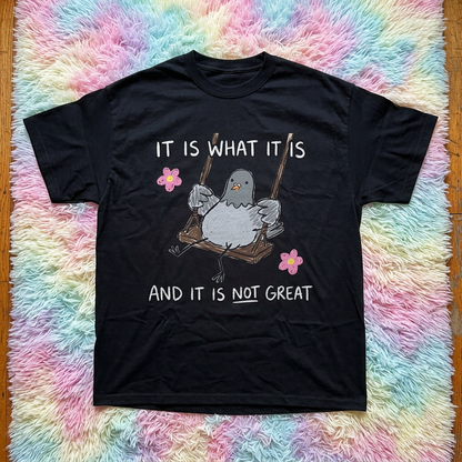 IT IS WHAT IT IS AND IT IS NOT GREAT